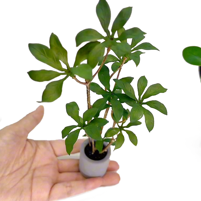 Bonsai Garden Ideas - 1:6 인형의 집 미니어처 화분 모델,