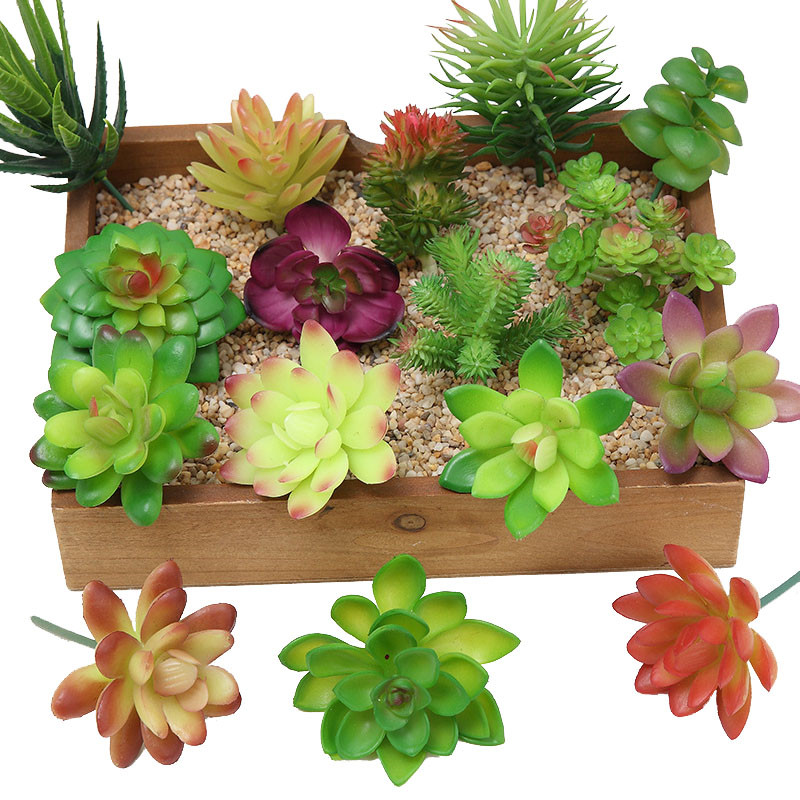2021 인공 다육 식물 홈 데코 미니 분재 정원 침실 - Bonsai Garden Ideas 리뷰 및 가격
