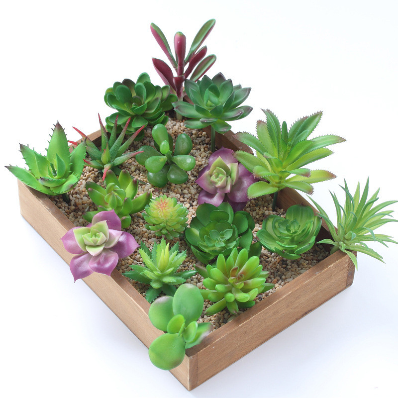 2021 인공 다육 식물 홈 데코 미니 분재 정원 침실 - Bonsai Garden Ideas 리뷰 및 가격
