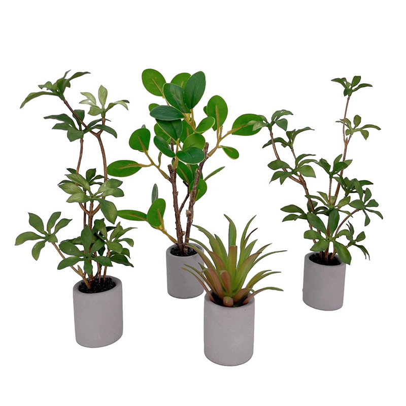 1:6 인형의 집 미니어처 화분 모델, 녹색 잎 식물  - Bonsai Garden Ideas 리뷰 및 가격