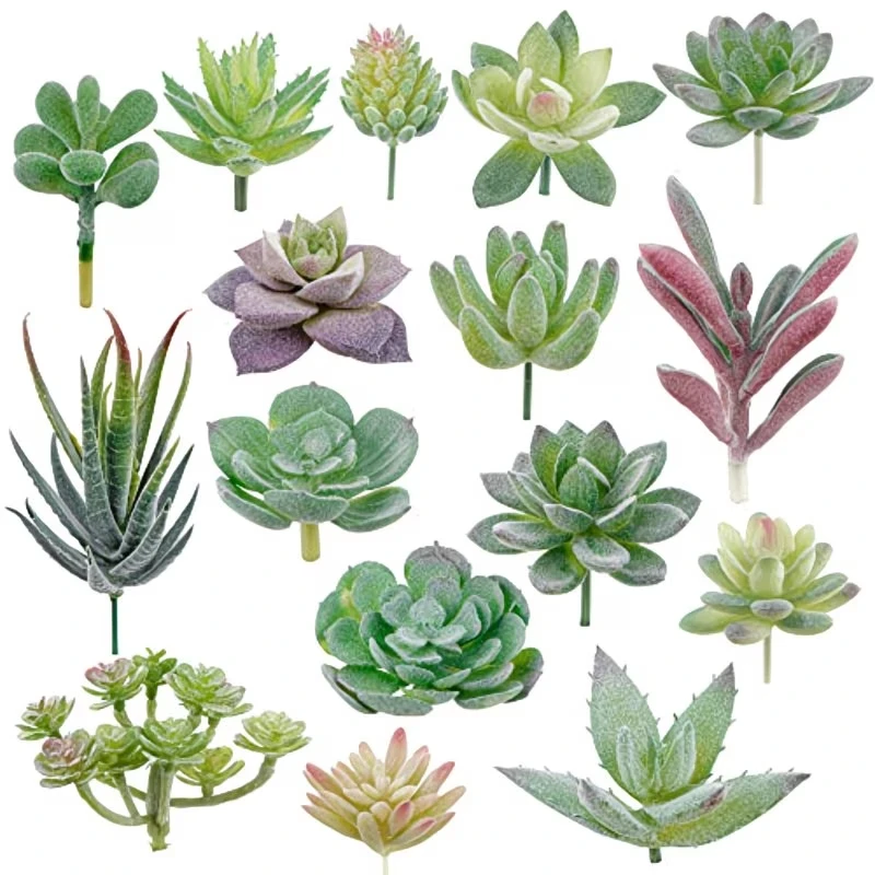 10/20Pcs PVC 다육 식물 가정 정원을위한 녹색 - Bonsai Garden Ideas 리뷰 및 가격
