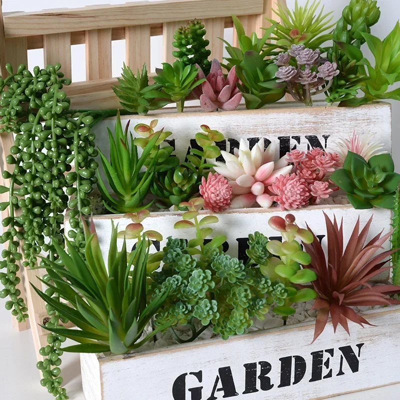 10/20Pcs PVC 다육 식물 가정 정원을위한 녹색 - Bonsai Garden Ideas 리뷰 및 가격